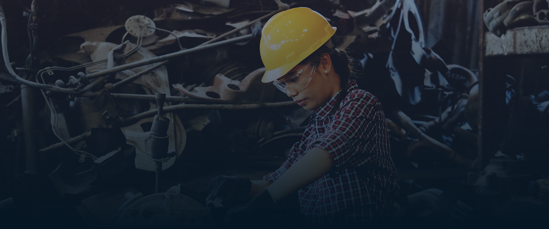 BomenVision Platform